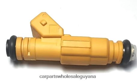 Royal Link Auto Parts Guyana XDHJV2159 Fuel Injector CM4831 FORD