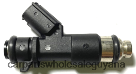 Auto Parts Store In Guyana XDHJV1987 Fuel Injector 16450R70A01