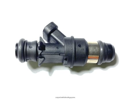 Auto Parts Store In Guyana XDHJV2017 Fuel Injector FJ10062 17113698