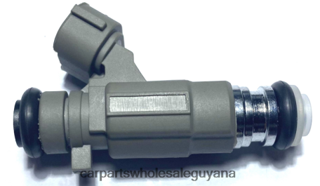 Auto Supply Guyana XDHJV1876 Fuel Injector 16600-5L700