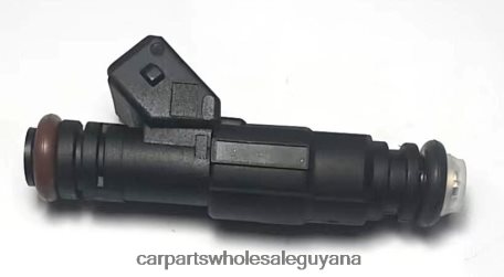 Car Accessories Guyana XDHJV2032 Fuel Injector 12456154