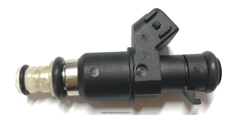 Car Parts Store In Guyana XDHJV1973 Fuel Injector 16450RAAA01