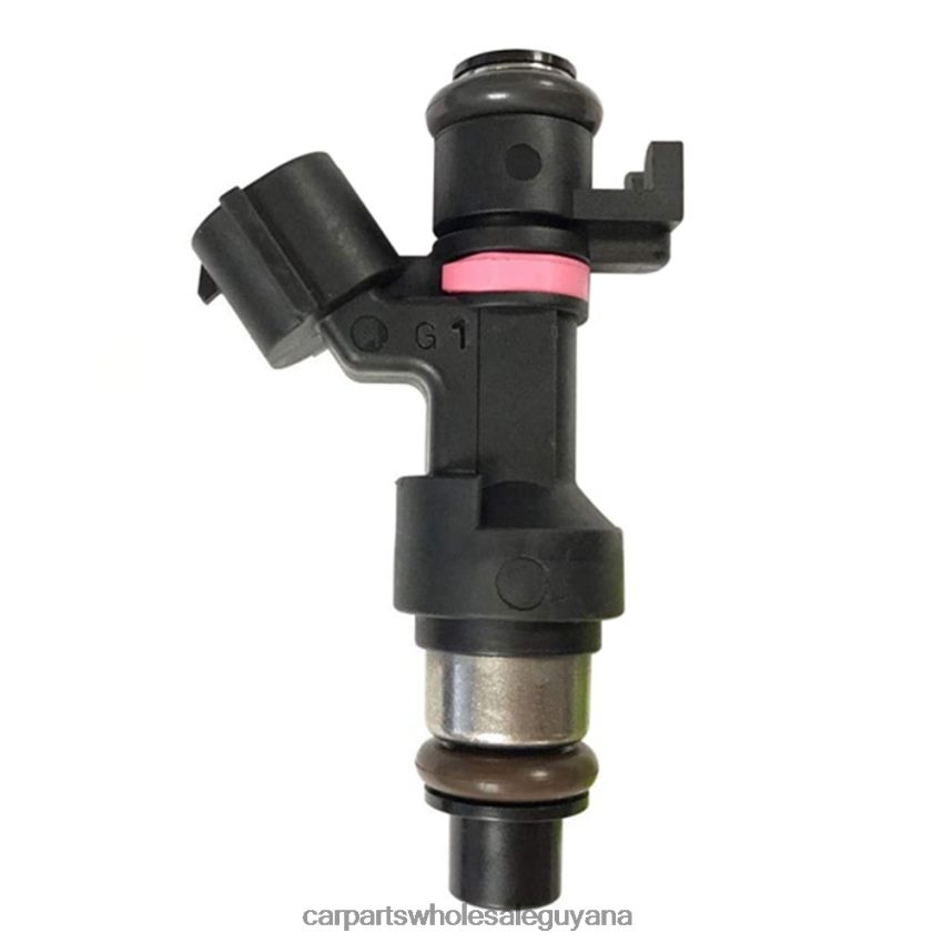 Auto Parts Store In Guyana 166006863R Fuel Injector for RENAULT 2H8ZVL707