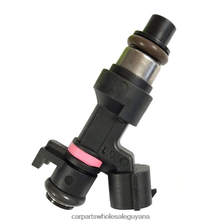 Royal Link Auto Parts Guyana H106845 166006863R ARBI845 Fuel Injecto 2H8ZVL239 RENAULT