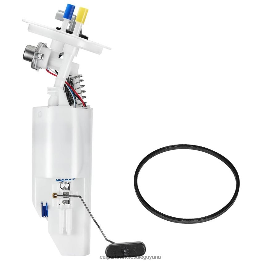 Auto Supply Guyana Fuel Pump Module 4778198 4798947 4897420AA P74706M E7094M for Chrysler Dodge Plymouth 2H8ZVL1006