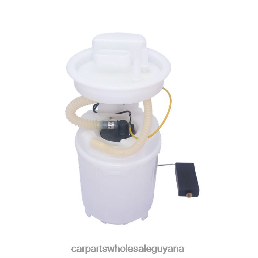 Auto Parts Guyana Fuel Pump Module 6N0919051N 6N0919087F for VW 2H8ZVL855