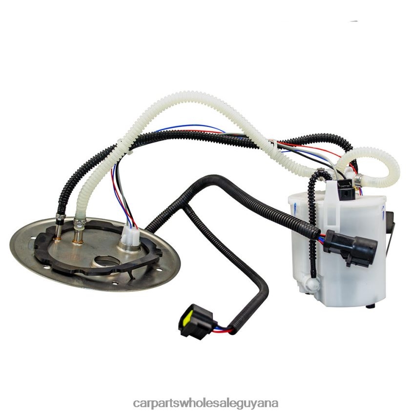Auto Parts Wholesale Near Me Fuel Pump Module E2438M P76398M TU265 6C3Z9H307AD for Ford 2H8ZVL780