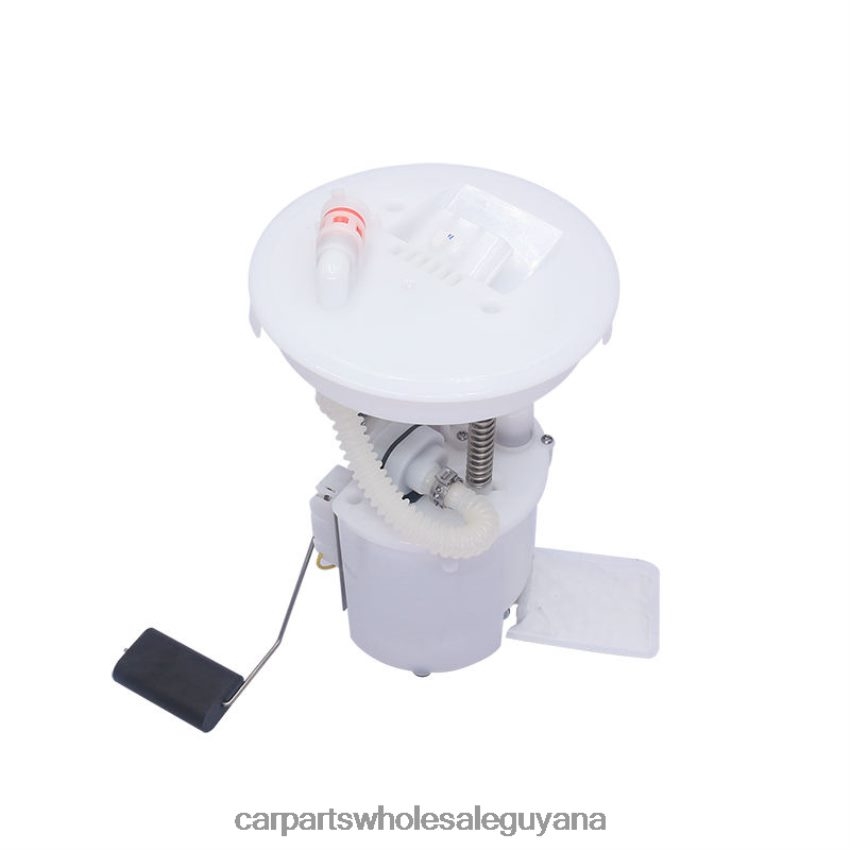 Auto Spare Parts Guyana Fuel Pump Module E2556M P75047M for Ford 2H8ZVL788