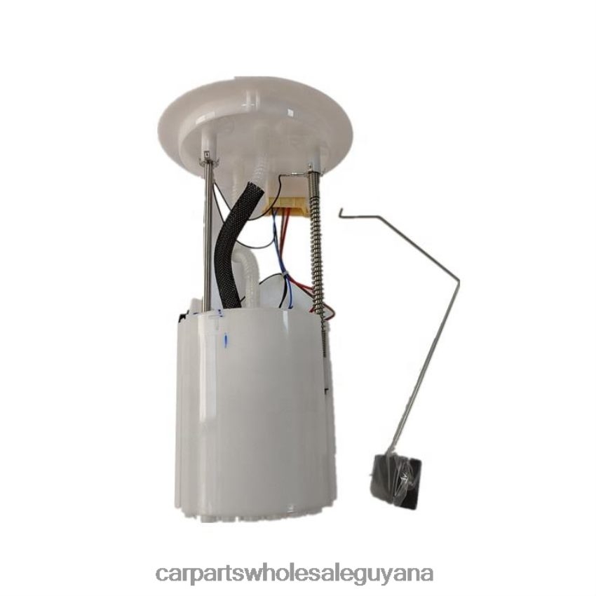 Auto Supply Guyana Fuel Pump Module AB39-9H307-AD AB39-9H307-AC AB39-9H307-AB for Ford 2H8ZVL816