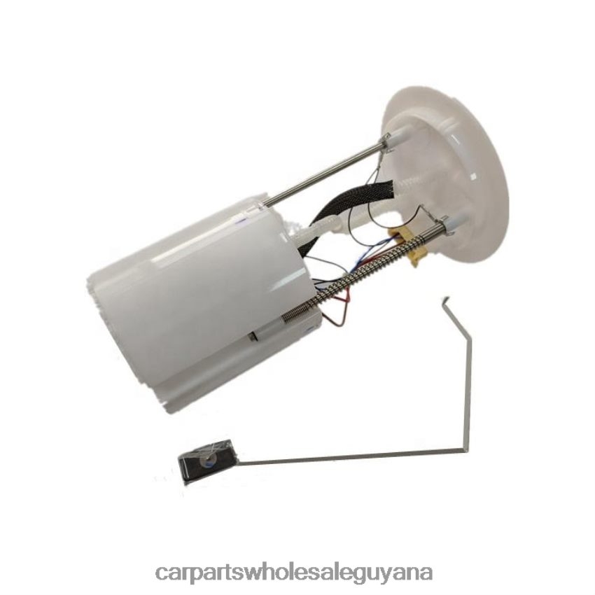 Auto Supply Guyana Fuel Pump Module AB39-9H307-AD AB39-9H307-AC AB39-9H307-AB for Ford 2H8ZVL816