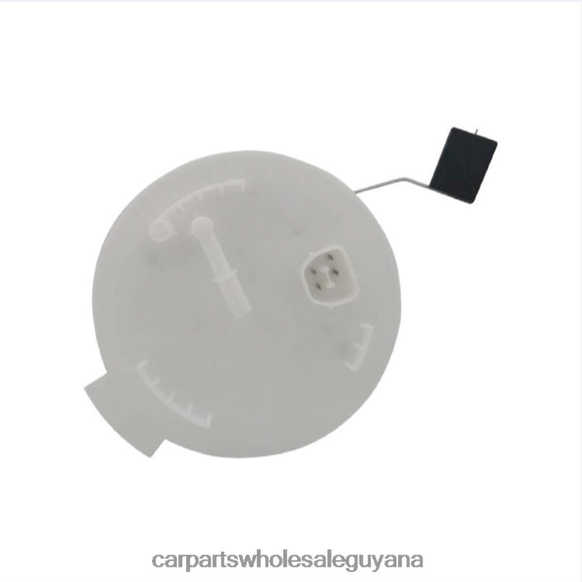 Car Accessories Guyana Fuel Pump Module E2458M FG1143 P76307M for Ford 2H8ZVL782