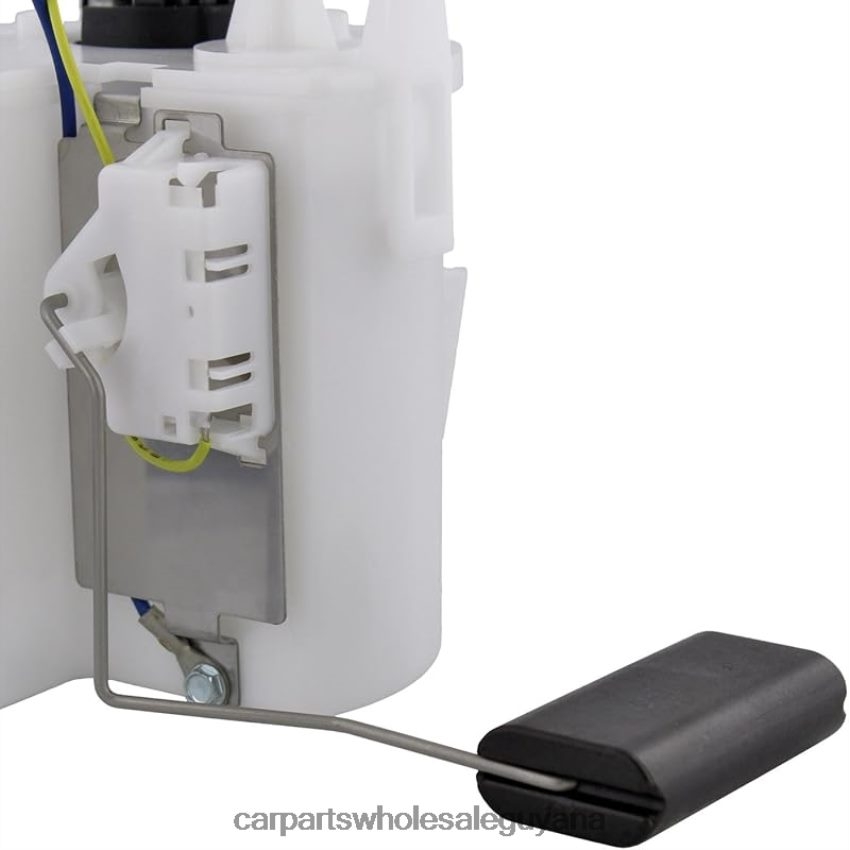 Car Parts Guyana Fuel Pump Module E2243M FG0838 P74951M TU209 for Ford 2H8ZVL761