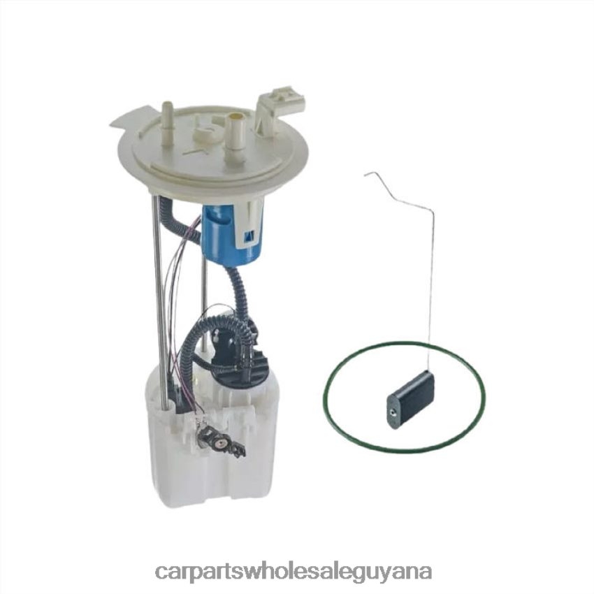 Car Parts Store In Guyana Fuel Pump Module E2582M P76865M SP2474M BC3Z9H307D for Ford 2H8ZVL813