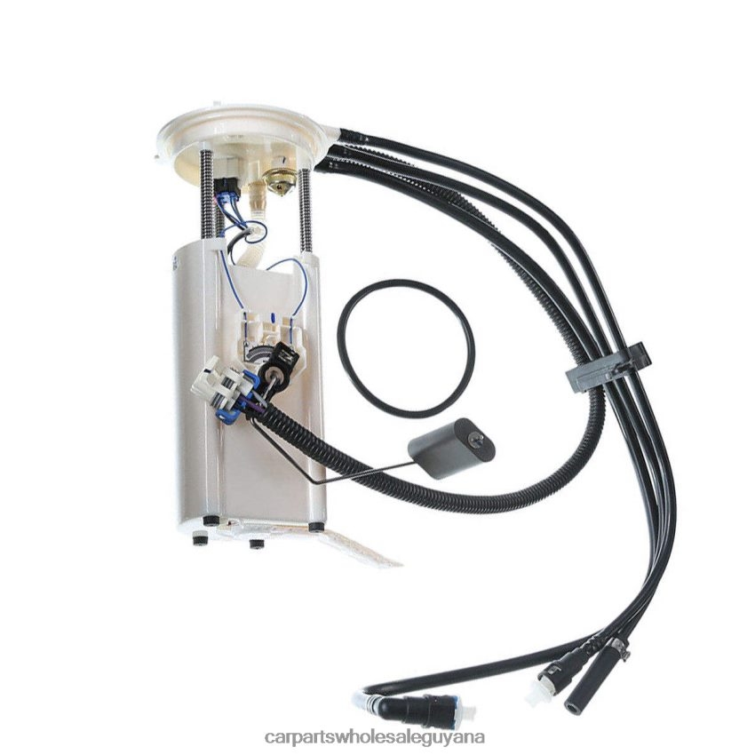 Auto Parts Guyana Fuel Pump Module E3919M FG0170 MU126 P74712M for GM 2H8ZVL935