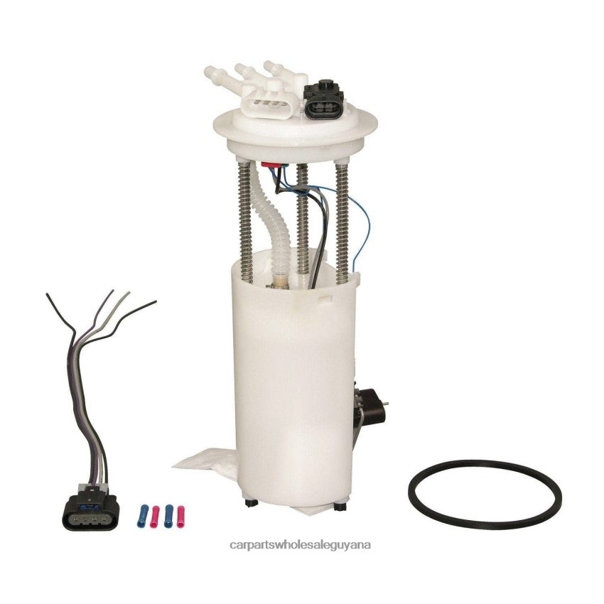 Auto Parts Guyana Fuel Pump Module E3974M FG0118 P75055M MU1790 19180103 19180104 for GM 2H8ZVL915