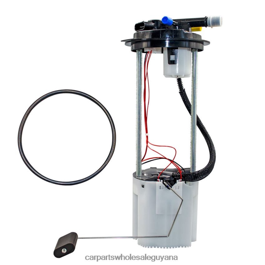 Auto Parts Store In Guyana Fuel Pump Module E3750M SP6030 P76511M for GM 2H8ZVL947