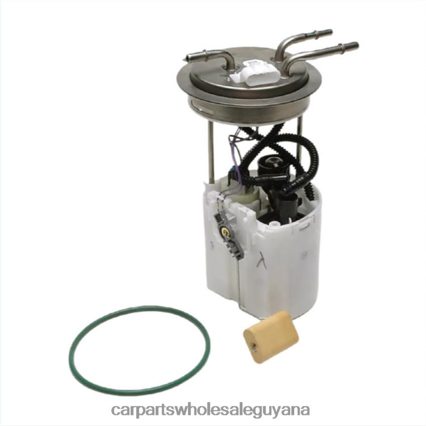 Auto Parts Wholesale Near Me Fuel Pump Module E3675M FG0374 19167488 19167489 for GM 2H8ZVL970