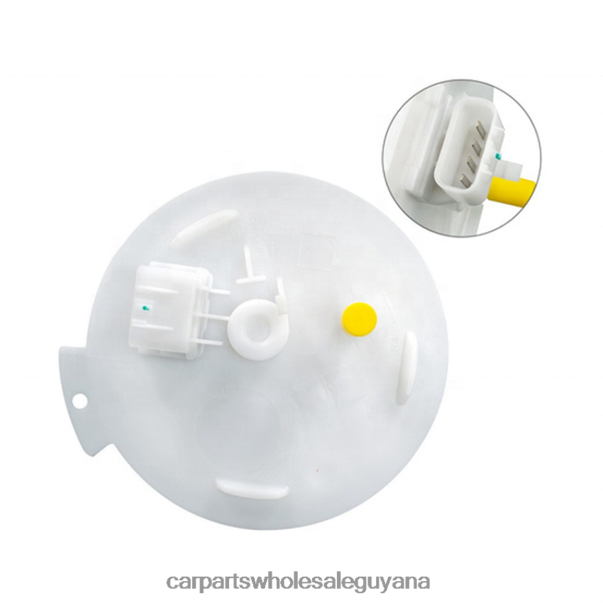 Auto Supply Guyana Fuel Pump Module 13577230 687925552GS2 for GM 2H8ZVL936