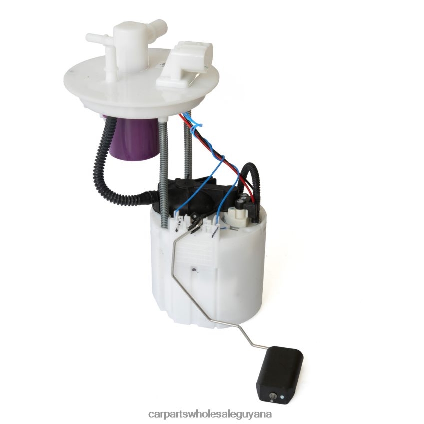 Auto Supply Guyana Fuel Pump Module 26296829 26353093 for GM 2H8ZVL976