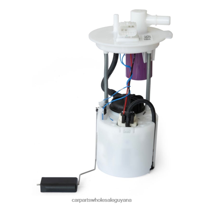 Auto Supply Guyana Fuel Pump Module 26296829 26353093 for GM 2H8ZVL976