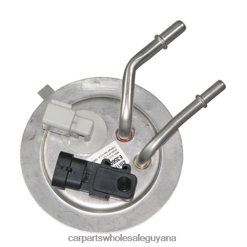 Auto Supply Guyana Fuel Pump Module E3560M FG0811 P74905M 88966963 for GM 2H8ZVL906