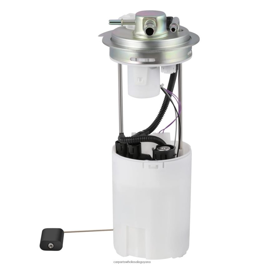 Auto Supply Guyana Fuel Pump Module E3831M MU1417 P76241M SP61417M for GM 2H8ZVL946