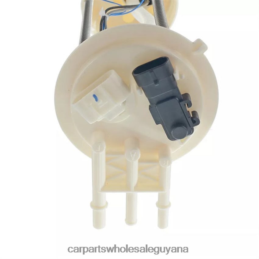 Auto Supply Guyana Fuel Pump Module E3947M 25178961 19177226 for GM 2H8ZVL876