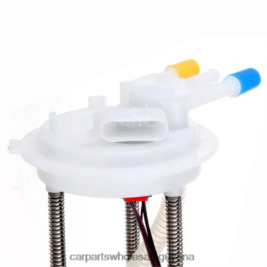 Auto Supply Guyana Fuel Pump Module E3962M 25314319 for GM 2H8ZVL886
