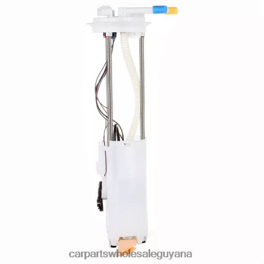Auto Supply Guyana Fuel Pump Module E3962M 25314319 for GM 2H8ZVL886