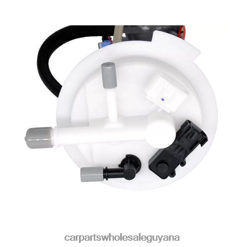 Auto Supply Guyana Fuel Pump Module E4008M SP6671M FG0935 M10627 for GM 2H8ZVL956