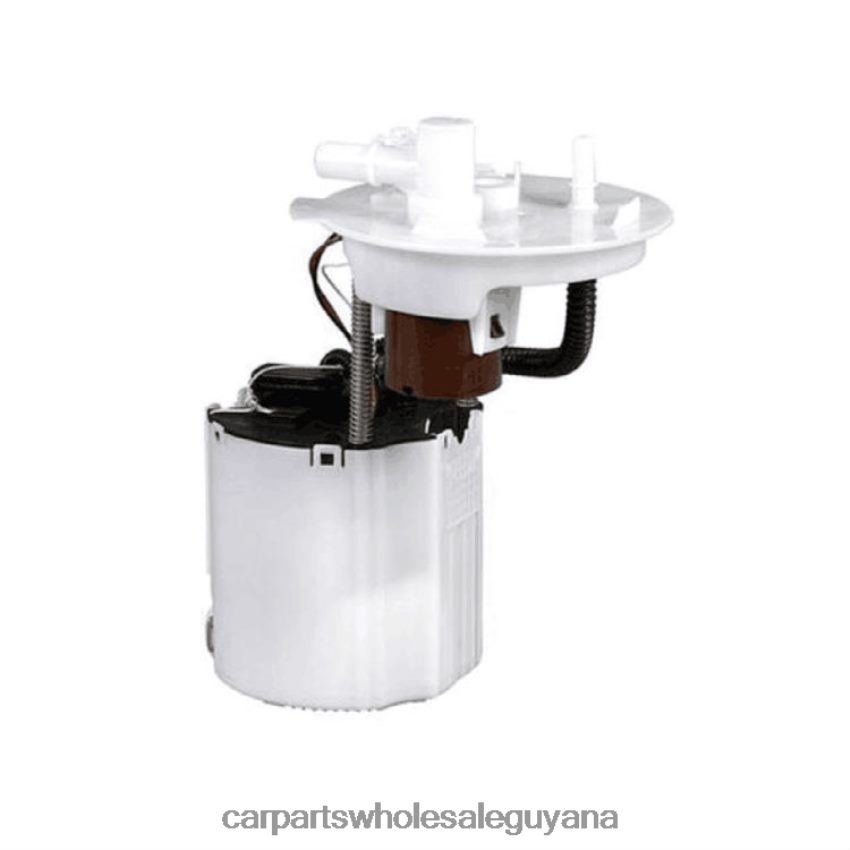 Auto Supply Guyana Fuel Pump Module E4063M SP6734M FG1811 13592914 13592925 for GM 2H8ZVL966