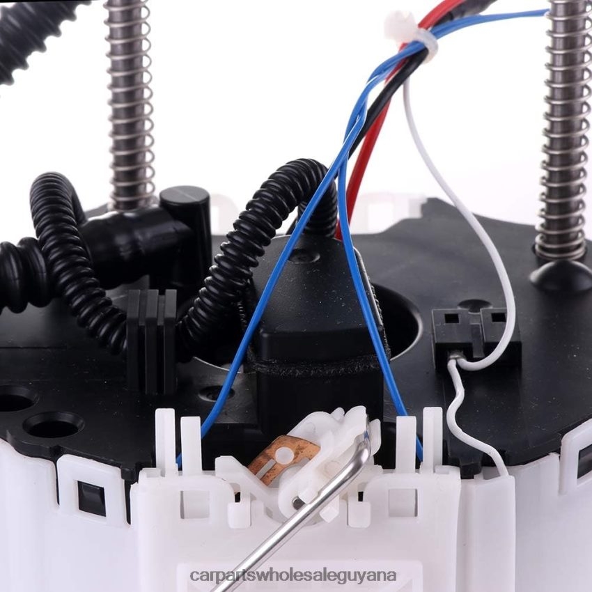Car Accessories Guyana Fuel Pump Module E4065M FG2031 SP4077M for GM 2H8ZVL1002