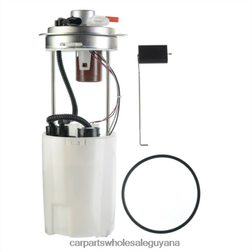 Car Parts Guyana Fuel Pump Module E3678M FG0399 FG0402 P76088M P76087M for GM 2H8ZVL941