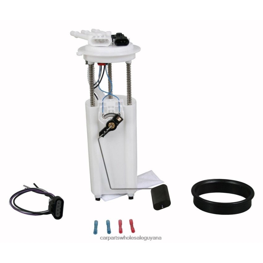 Car Parts Store In Guyana Fuel Pump Module E3569M SP61099M FG0286 P74841M for GM 2H8ZVL953