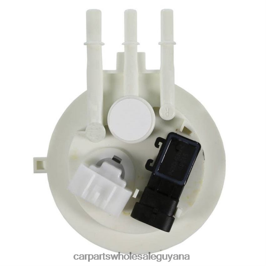 Car Parts Store In Guyana Fuel Pump Module E3569M SP61099M FG0286 P74841M for GM 2H8ZVL953