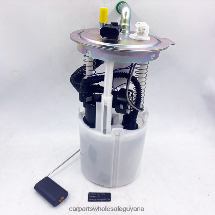 Car Parts Store In Guyana Fuel Pump Module E3707M E3769M MU1701 MU1655 MU1397 for GM 2H8ZVL933