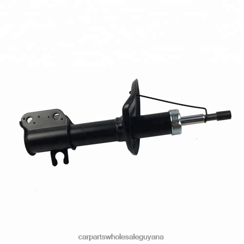 Royal Link Auto Parts Guyana 332505 Shock Absorber for Chevrolet Spark Fits Front 2H8ZVL659