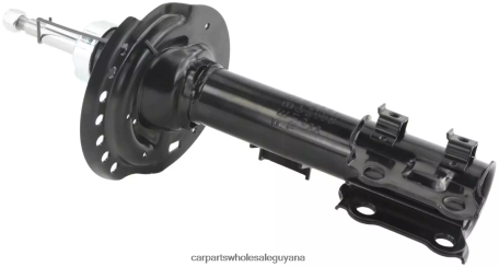Royal Link Auto Parts Guyana XDHJV49 Shock Absorber Fits Front 3330049 ELANTRA