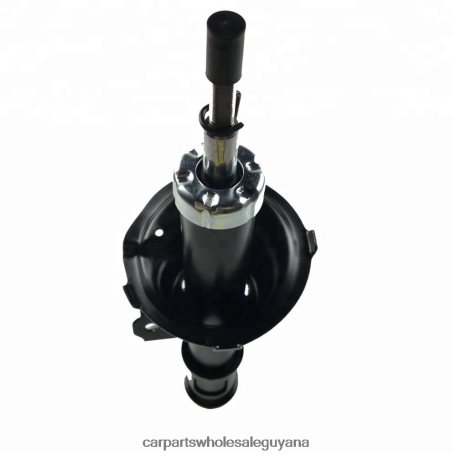 Royal Link Auto Parts Guyana XDHJV69 Shock Absorber Fits Front 332501 KIA