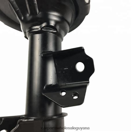 Royal Link Auto Parts Guyana XDHJV69 Shock Absorber Fits Front 332501 KIA