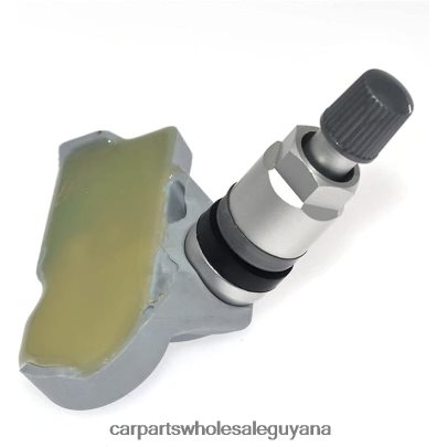 TPMS Audi Tire Pressure Sensor 9A790727503 Auto Spare Parts Guyana 8ZH66H2816