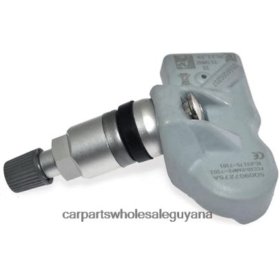 TPMS Audi Tire Pressure Sensor 9A790727503 Auto Spare Parts Guyana 8ZH66H2816