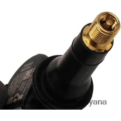 TPMS Buick/Chevrolet/Cadillac/GMC Tire Pressure Sensor 13516165 Auto Spare Parts Guyana 8ZH66H2666